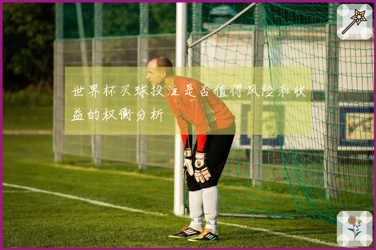 世界杯买球投注是否值得风险和收益的权衡分析
