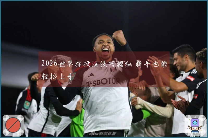 2026世界杯投注技巧揭秘 新手也能轻松上手