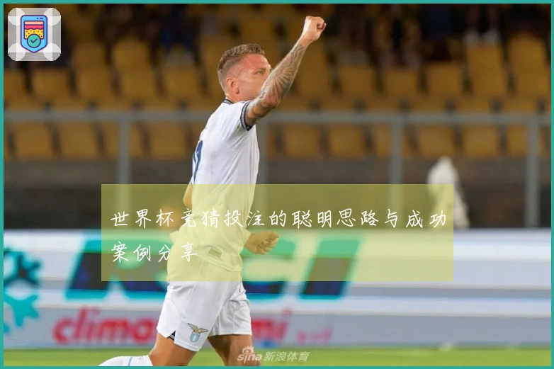 世界杯竞猜投注的聪明思路与成功案例分享