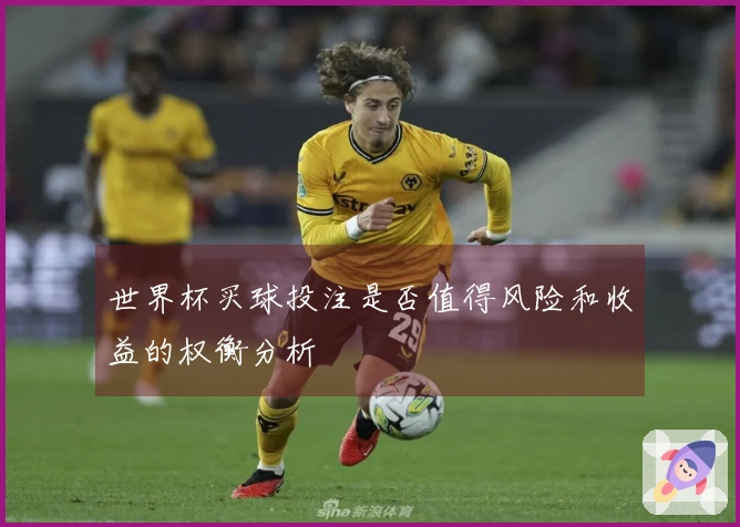 世界杯买球投注是否值得风险和收益的权衡分析