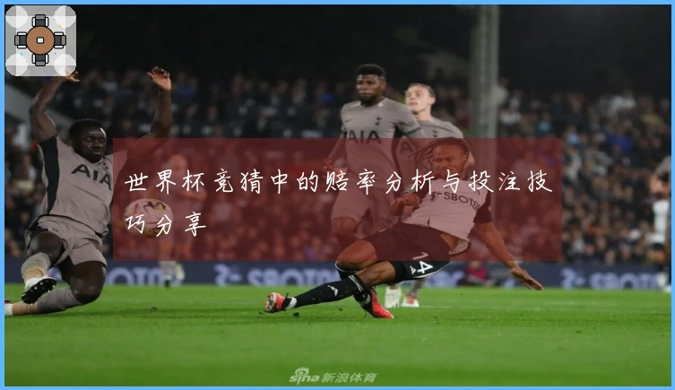 世界杯竞猜中的赔率分析与投注技巧分享