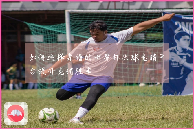 如何选择靠谱的世界杯买球竞猜平台提升竞猜胜率