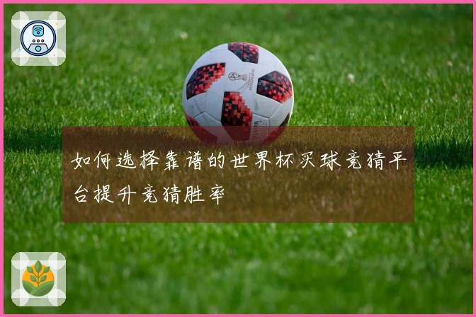 如何选择靠谱的世界杯买球竞猜平台提升竞猜胜率