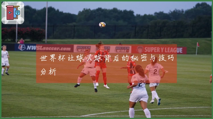 世界杯让球买球背后的秘密与技巧分析