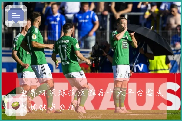 世界杯买球投注推荐十大平台盘点与优缺点分析