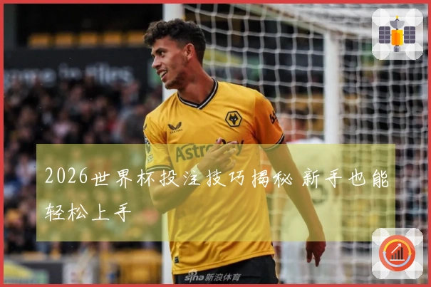 2026世界杯投注技巧揭秘 新手也能轻松上手