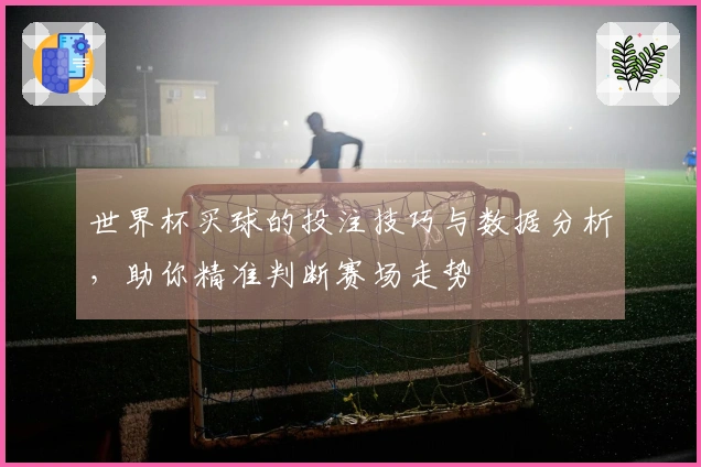世界杯买球的投注技巧与数据分析，助你精准判断赛场走势