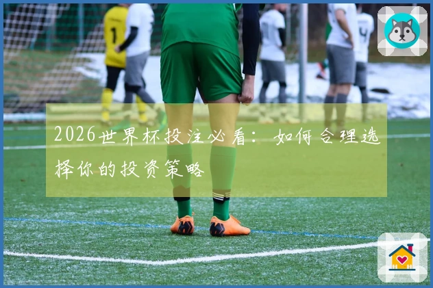 2026世界杯投注必看：如何合理选择你的投资策略
